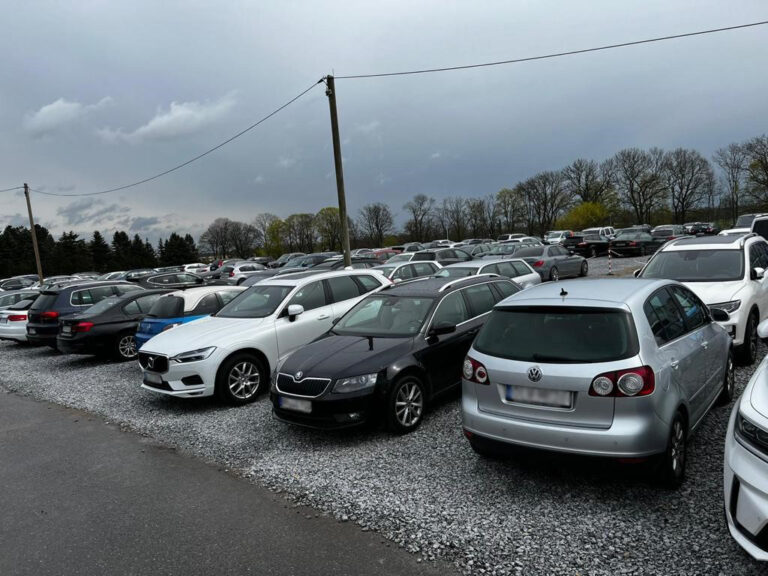 Berlin_driveandpark